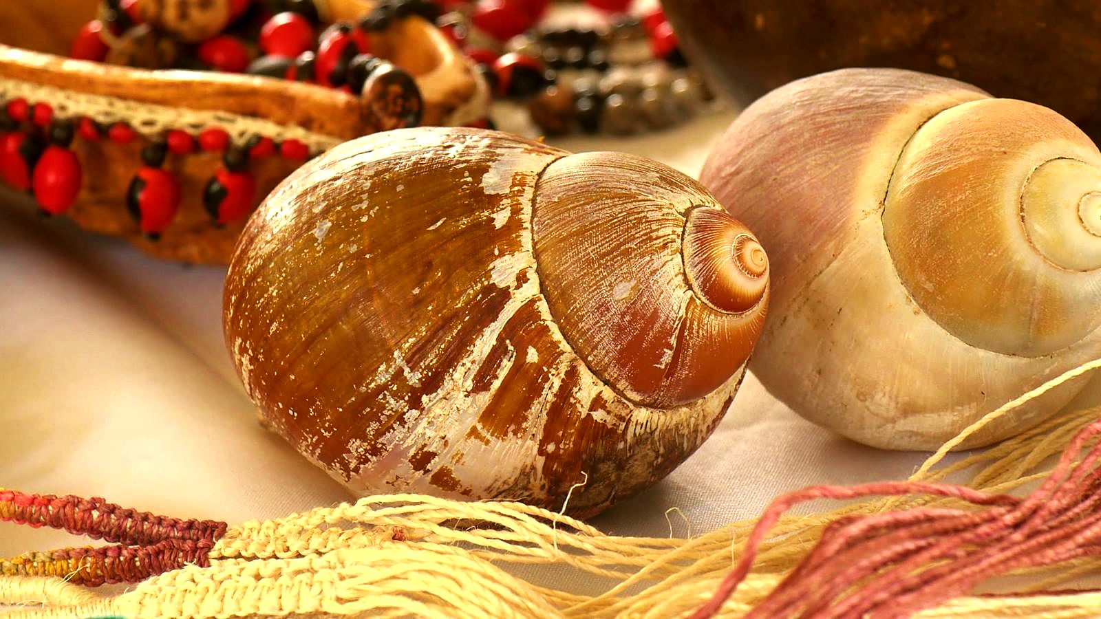 Handmade seed jewelry and shells