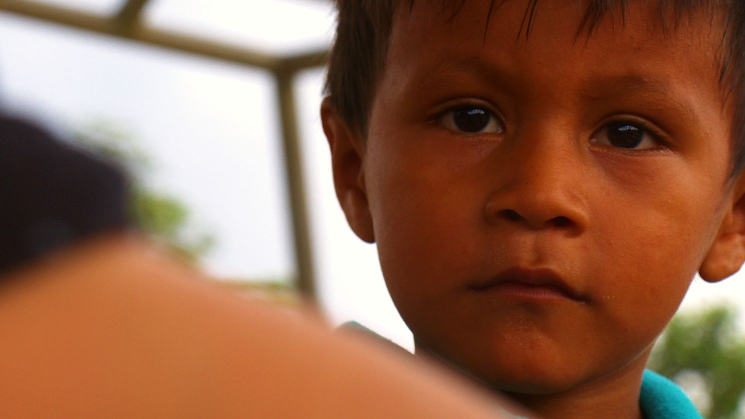 A young boy of Verde Sumaco looking into the camera