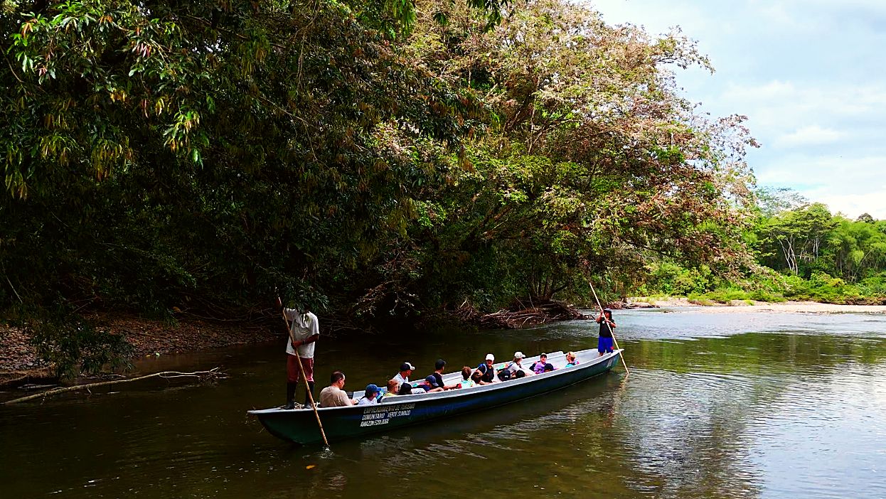 A canoe poled across the river beneath the trees