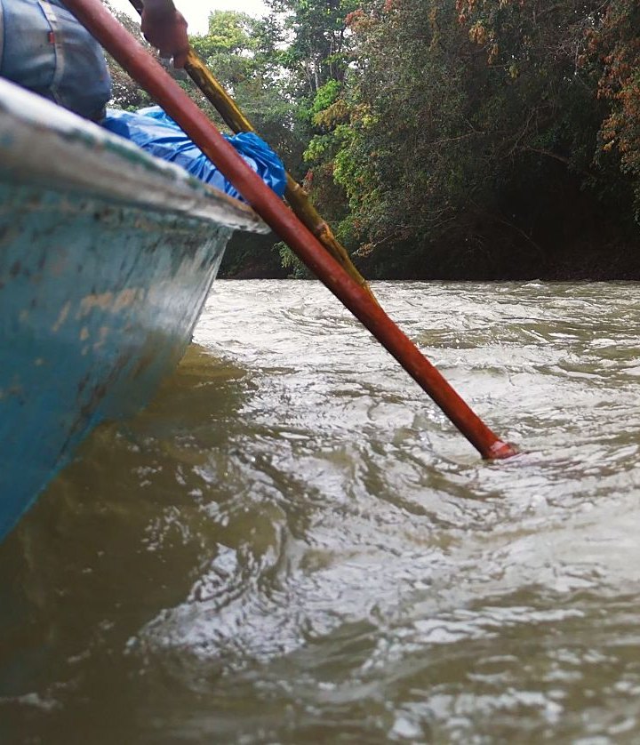 A boatman poling the canoe through the river current